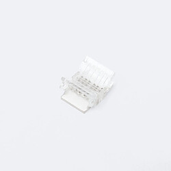 Avis Ledkia Connecteur Ruban LED 24 V RGB+CCT SMD Largeur 10 mm IP20 RGB + CCT