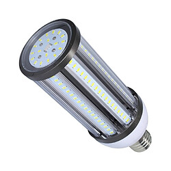 Lampe