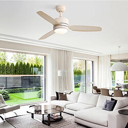 Ventilateur
