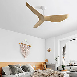 Ventilateur