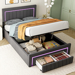 Lit Coffre Modenvie 140x190 cm avec LED et rangement - velours gris pas cher