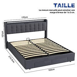 Avis Lit Enfant 160x200 cm - Modenvie - LED et USB - velours