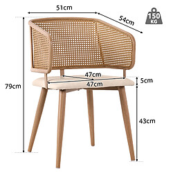 STILVORA Chaises de salle à manger 47/51/79 cm beige et marron en fer avec dossier en rotin pas cher