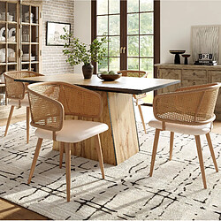 Acheter STILVORA Chaises de salle à manger 47/51/79 cm beige et marron en fer avec dossier en rotin
