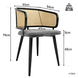 Avis STILVORA Chaise de salle à manger 47/51/79 cm grise en velours et fer avec dossier en rotin