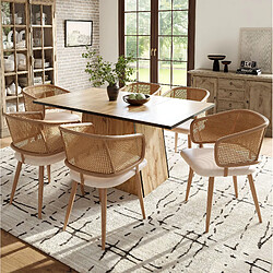 Avis STILVORA Chaise de salle à manger 47/51/79 cm beige et brun en fer avec dossier en rotin