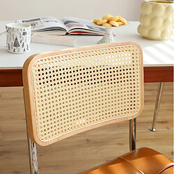 STILVORA Chaises de salle à manger lot de 2 marron en similicuir et rotin empilables pas cher