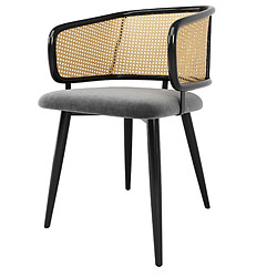 Acheter STILVORA Chaise de salle à manger 47/51/79 cm gris en velours et fer avec dossier en rotin