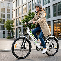 Acheter Vélo électrique 250W 36V15Ah WITAMBIKE C26
