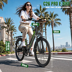 Acheter Vélo électrique 36V 20AH 250W WITAMBIKE C26 PRO