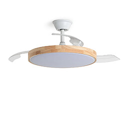 Ventilateur