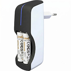 Acheter LinQ Lot de 2 Piles AA Lithium-Ion 1.5V 6000mWh Rechargeables USB-C Blanc