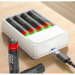 Acheter Yesido Lot de 4 Piles AA Lithium-Ion 440mAh 1.5V 666mWh Rechargeables USB-C Noir / Rouge