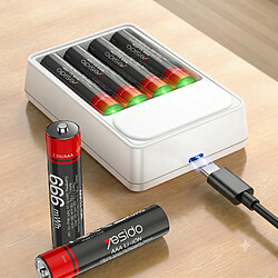 Acheter Yesido Lot de 8 Piles AA Lithium-Ion 440mAh 1.5V 666mWh Rechargeables USB-C Noir / Rouge
