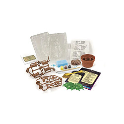 Acheter Clementoni Harry Potter Mandrake Terrarium Kit 3D - Mandragore
