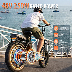 Vélo électrique ALLGOBIKE AC20 48V 20AH 250W pas cher