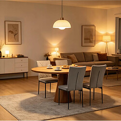 Acheter STILVORA Chaise de salle à manger 42/59/94,5 cm gris foncé en métal et velours ergonomique