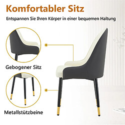 Acheter STILVORA Lot de 2 chaises 47,3/44/91 cm blanc et gris foncé en métal et PU dossier éclair