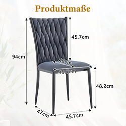 Acheter STILVORA Chaise de salle à manger gris foncé en velours avec dossier tressé et pieds métal