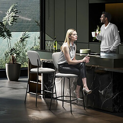 Avis STILVORA Lot de 2 tabourets de bar 45/49/102 cm gris clair en polyester avec repose-pieds