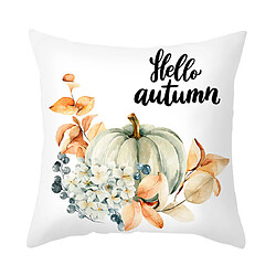 Avis Motif de citrouille Taie d'oreiller