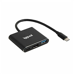 IGGUAL Hub USB IGG318461