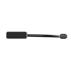 Avis Trust Hub USB C