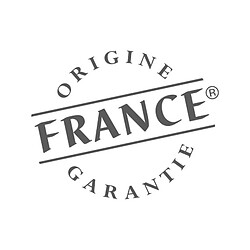 Godin Insert à bois Modane 65-F