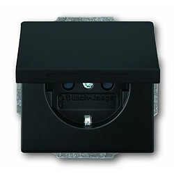 Busch-Jaeger Busch_jaeger 20EUK-885 - Noir