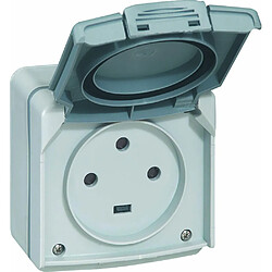 Legrand Prise Puissance Plexo 3P+T - Gris