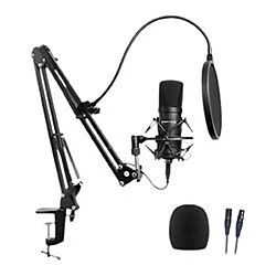 Power Studio Vibe B1 Bundle XLR