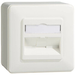 Boîtier prise réseau Cat.6A en saillie - Blanc