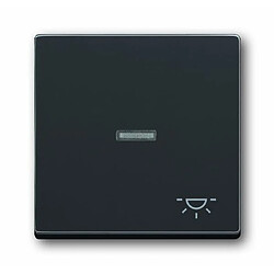 Busch-Jaeger Busch_jaeger 1789 LI-81 - Anthracite