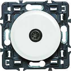 Legrand Céliane prise TV mâle - Blanc