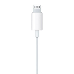Acheter Apple Ecouteurs Earpods Lightning pour iPhone 7 / 7 Plus Blanc