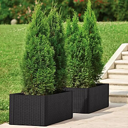 Avis Stefanplast Bac à fleurs rotin - Anthracite