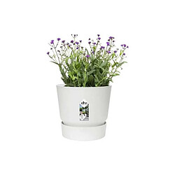 Avis Elho Pot de fleurs rond - Blanc