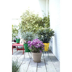 Avis Elho Loft Urban 25 - Ø24,5 cm - Couleur au choix