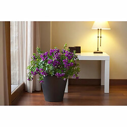 Décoration d'extérieur