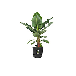 Avis ELHO Pot Rond Greenville Noir