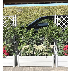 Décoration d'extérieur