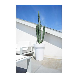 Avis Riviera Pot de fleurs rond - Blanc