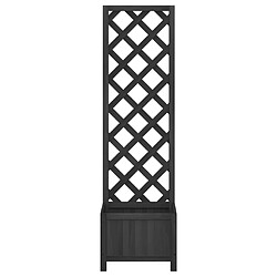 Acheter Vidaxl vidaXL Jardinière avec treillis 40x30x135 cm - Noir