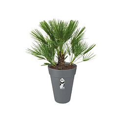 Avis ELHO Loft Urban High Ø 42x56 cm - Anthracite