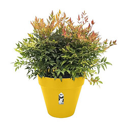 Avis Elho Loft Urban avec roues Ø 50 cm - Ocre