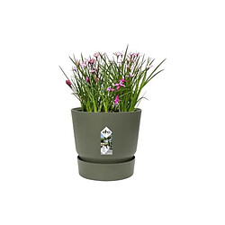 Acheter Elho pot de fleurs rond - Vert