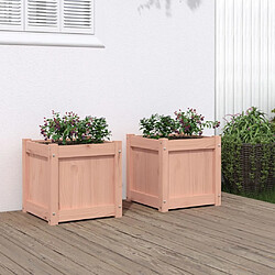 vidaXL Jardinières bois massif douglas 2 pcs