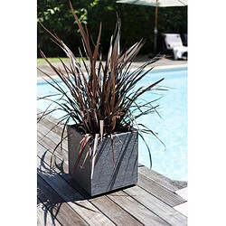 Avis EDA Plastiques EDA Jardinière Graphit - Gris anthracite 49,5x49,5x49,5 cm