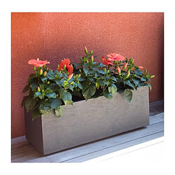 Acheter EDA Plastiques EDA Jardinière Graphit Up 79,5x29,5 cm