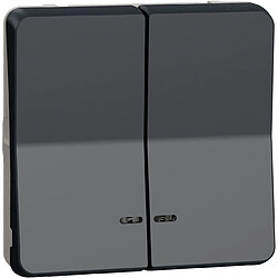 Schneider electric MUR35228 - Gris Bouton poussoir étanche IP55 - Double LED - Composable - Encastré - 10 A - 250 V